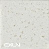 ZXS201031